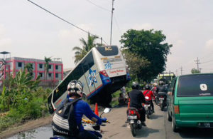 Bus `Nyungsep` di Trosobo