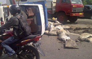 Truk Muat Pupuk Terguling
