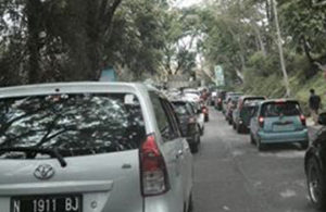 Masuk Taman Safari, Ngantri!