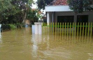 Jalan Mawar Banjirnya Segini