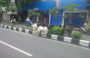 Makan Siang Dulu …