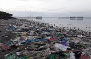 Kondisi Pesisir Pantai Surabaya