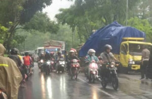 Truk Kayu Vs Truk Ayam di Lumajang, Macet
