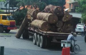 Terjatuh, Bahaya!