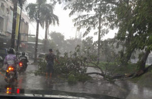 Pohon Tumbang di Ruko Panjang Jiwo