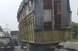 Truk Mogok di Sukodadi Lamongan