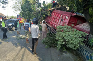Truk Menabrak Pohon di Bangil