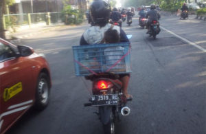 Cara Membonceng Terbaru?