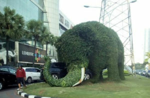 Mobil Tabrak Gajah