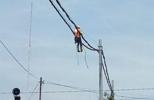 Bergelantungan di Antara Kabel
