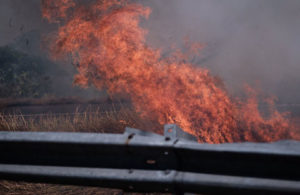 Ilalang Terbakar sebelum Gerbang Tol Waru 4