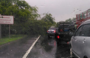 Pohon Tumbang di Tol Porong – Sidoarjo KM 34