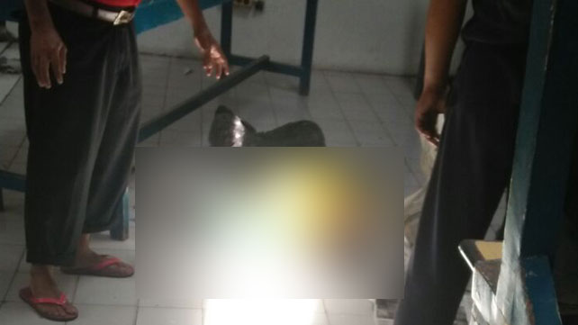 Pekerja Proyek Meninggal Dunia Terjatuh dari Atap Kantin 