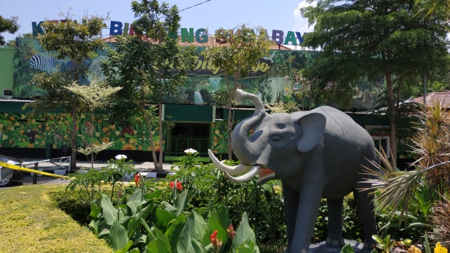 Tanpa Gajah, Awal Tahun 2022 Diperkirakan 9000 Pengunjung Sesaki KBS -  Suara Surabaya