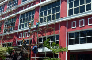 Warna Baru Siola