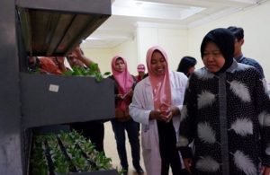 Budidaya Anggrek dan Jamur di Eks Lokalisasi