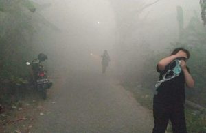 Kebakaran Lahan di Sedati