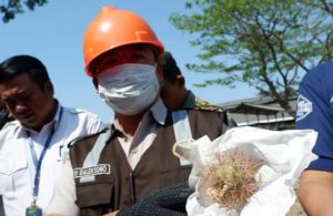Pemusnahan Komoditas Pertanian Ilegal dari 15 Negara