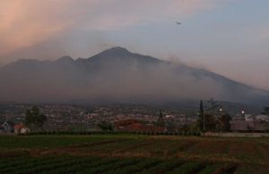 Lereng Gunung Arjuno Kembali Terbakar