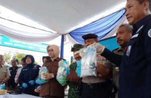 Sabu-sabu dalam Kemasan Teh China