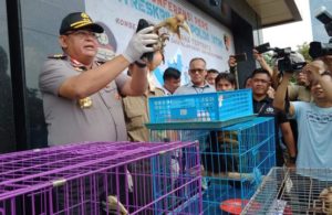 Perdagangan Satwa Liar Terungkap, Bernilai 1,5 M