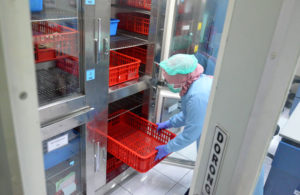 Stok Persediaan Darah PMI Surabaya Menipis