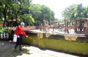 Tutup Sementara, Satwa KBS Tetap Sejahtera