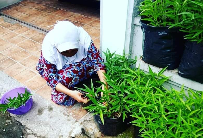 peserta-program-kebun-rumah