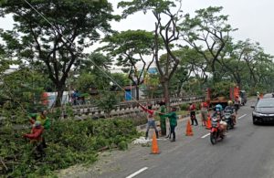 Perantingan Menyambut Hujan