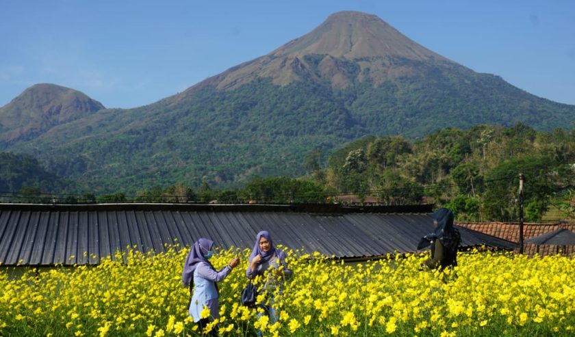 Taman Bunga Refugia Wisata Instagramable Di Mojokerto Suara Surabaya