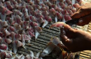 Tilik Kampung Ikan Asin
