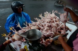 Harga Ayam Merambat Naik