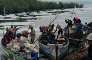 Menyisir Pesisir Menjaring Kerang
