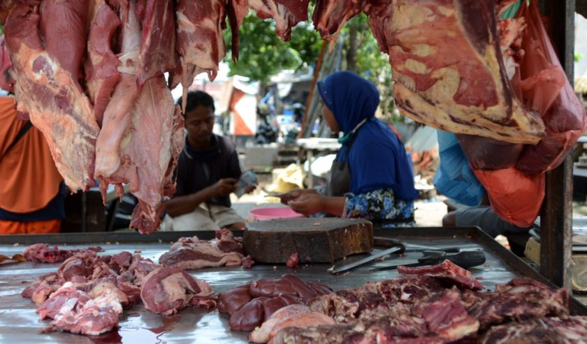 Harga daging sapi hari ini