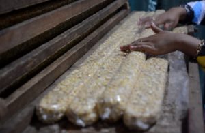 Krisis Tempe, Senin Harga Naik!