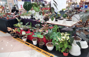 Pameran Bunga Tetap Jaga Jarak