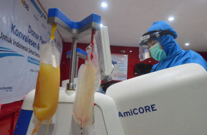 Pendonor Plasma Konvalesen Mulai Meningkat di PMI Surabaya