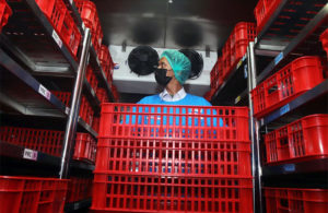 Stok Darah di PMI Surabaya, Kritis