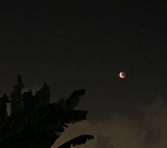 Pantauan Gerhana Bulan Total di Menganti, Rabu (26/5) malam