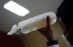 30 Ribu Benur Tulungagung Gagal Diselundupkan