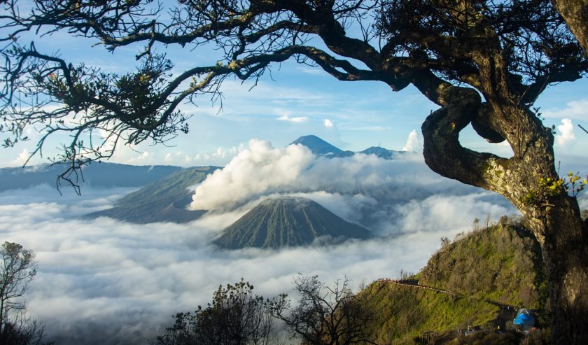 bromo