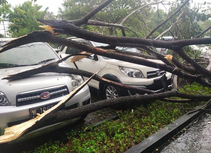 Pohon Tumbang di Area Parkir Kampus ITATS Surabaya imbas hujan deras disertai angin kencang, Senin (21/2) sore