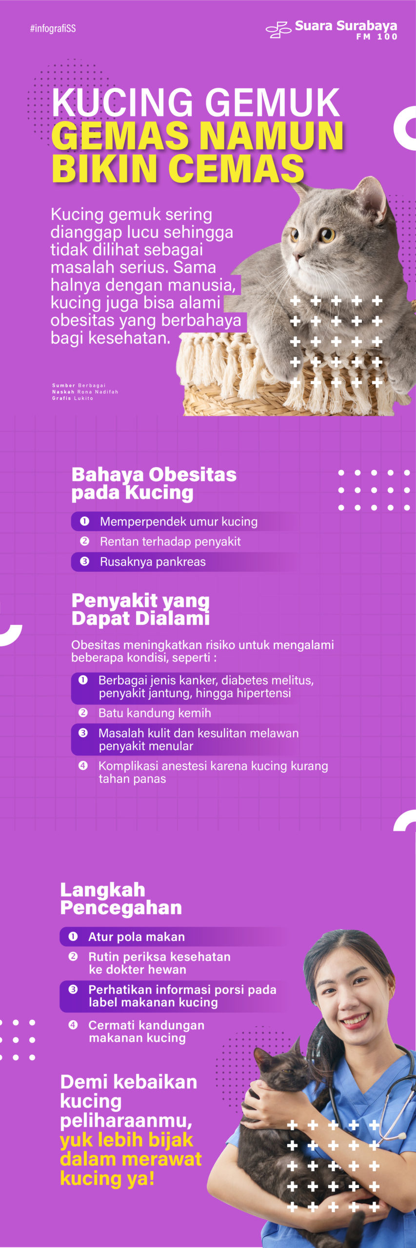 Kucing Gemuk, Gemas Namun Bikin Cemas