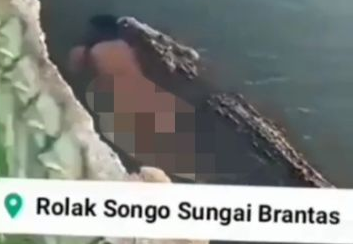 Manusia Dimakan Buaya di Sungai Brantas, Hoaks! - Suara Surabaya