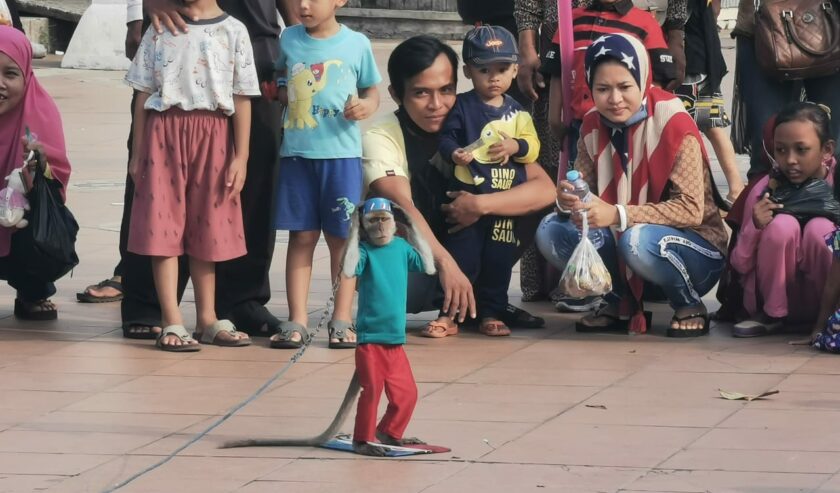 Thrifting Sambil Njajan di Pasar Minggu Pagi Tugu Pahlawan - Suara Surabaya