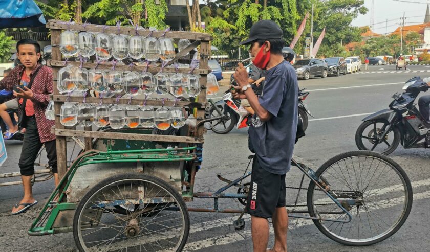 Thrifting Sambil Njajan di Pasar Minggu Pagi Tugu Pahlawan - Suara Surabaya