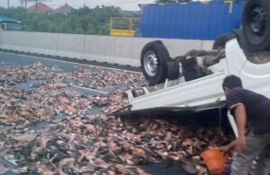 Mobil Pikap Muat Ikan Terbalik di Tol Sidoarjo