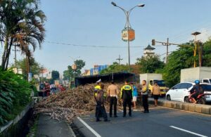 Truk Tebu Terguling di Sumber Waras Lawang