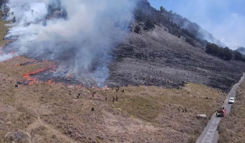 Personel gabungan Balai Besar Taman Nasional Bromo Tengger Semeru (BB TNBTS) pada saat melakukan proses pemadaman api di area savana, di wilayah Kabupaten Malang, Jawa Timur, Rabu (30/8/2023). Foto: BB TNBTS