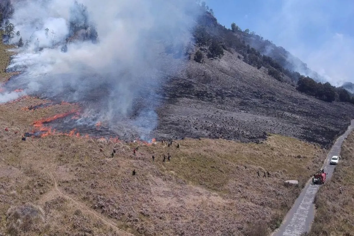 Personel gabungan Balai Besar Taman Nasional Bromo Tengger Semeru (BB TNBTS) pada saat melakukan proses pemadaman api di area savana, di wilayah Kabupaten Malang, Jawa Timur, Rabu (30/8/2023). Foto: BB TNBTS